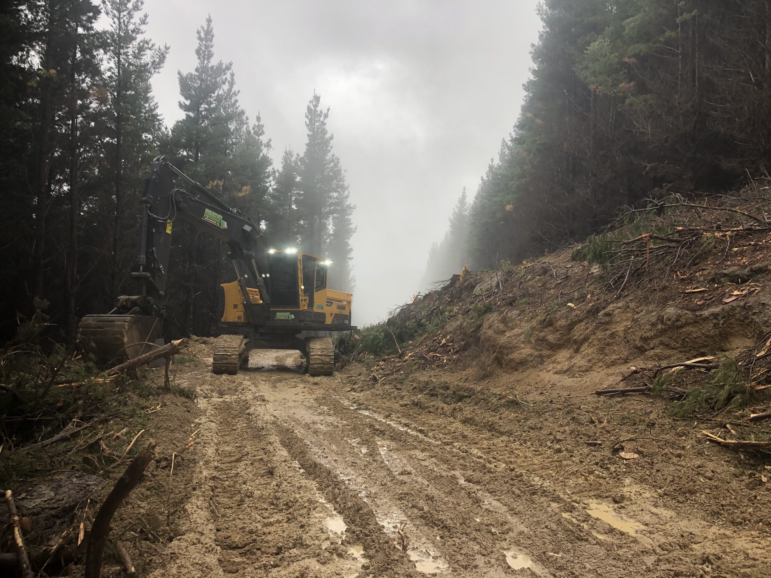 HES - Forestry roading